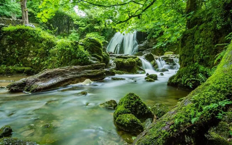 高效电子智能